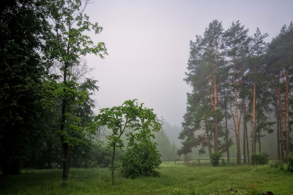 Photograph by Наталья Кащеева