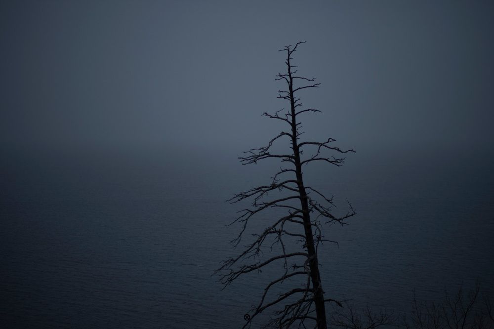 Фотография автора Александр Кременицкий