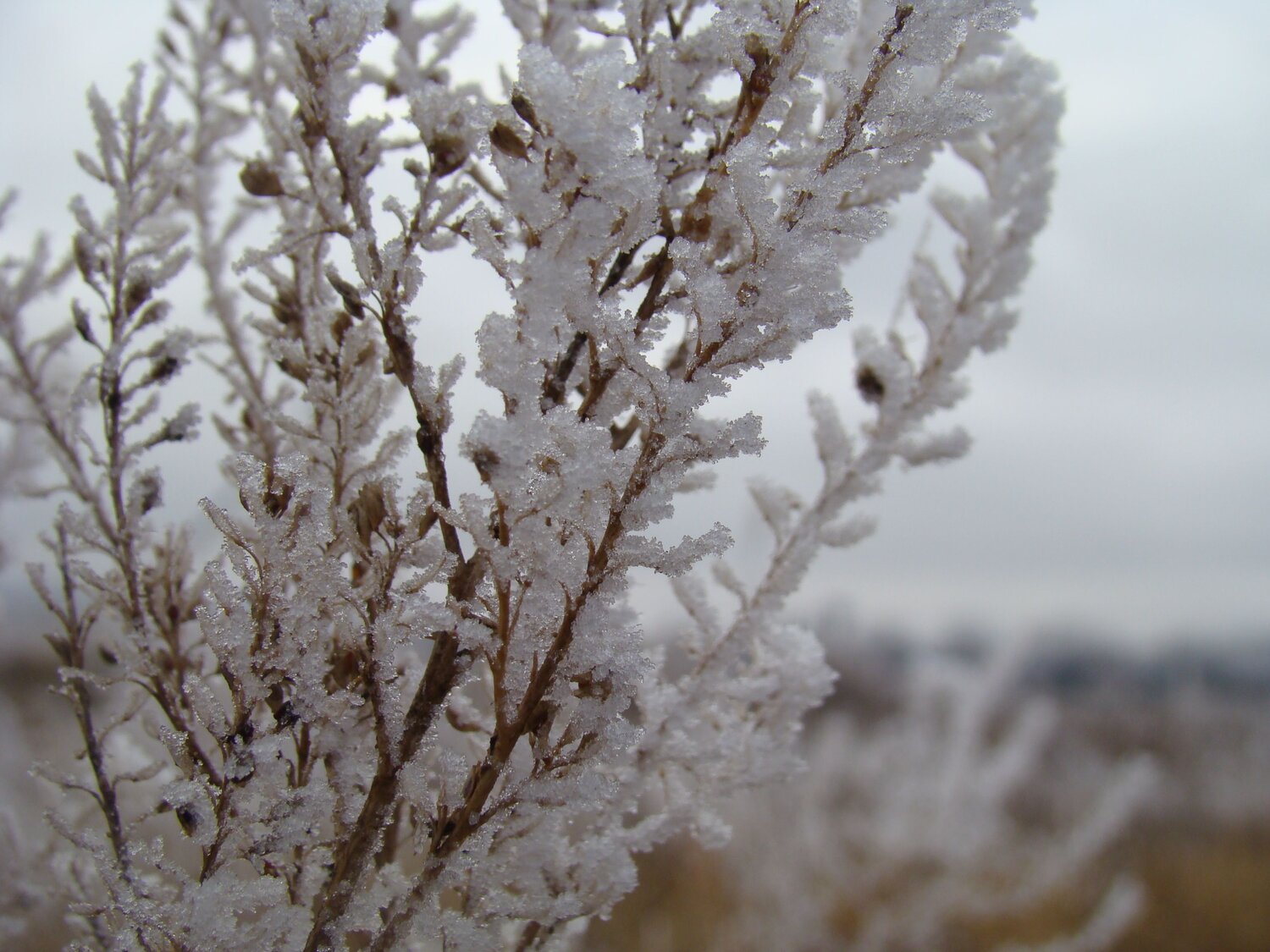 Photo #6722020