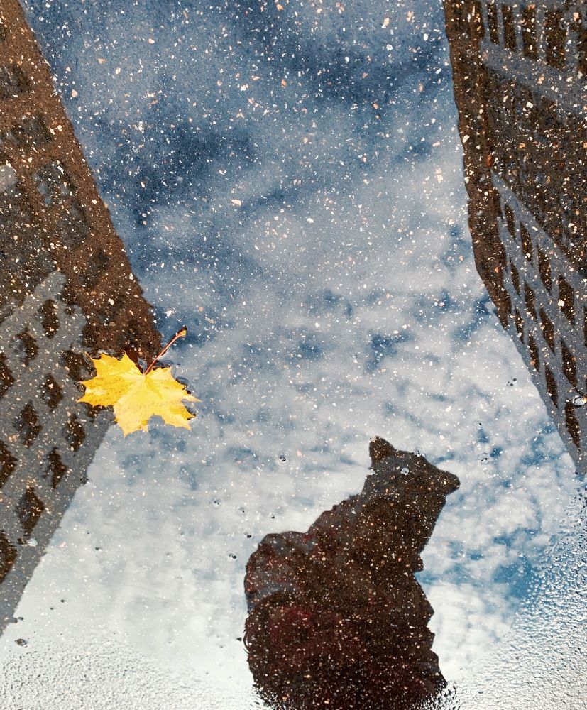 Photograph by Юлия Попова