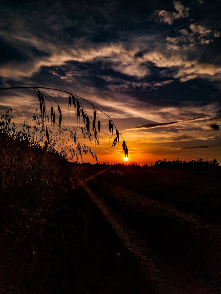 Закат в деревне
