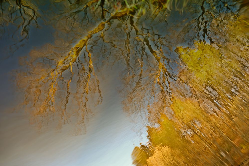 Photograph by Лариса Петрова