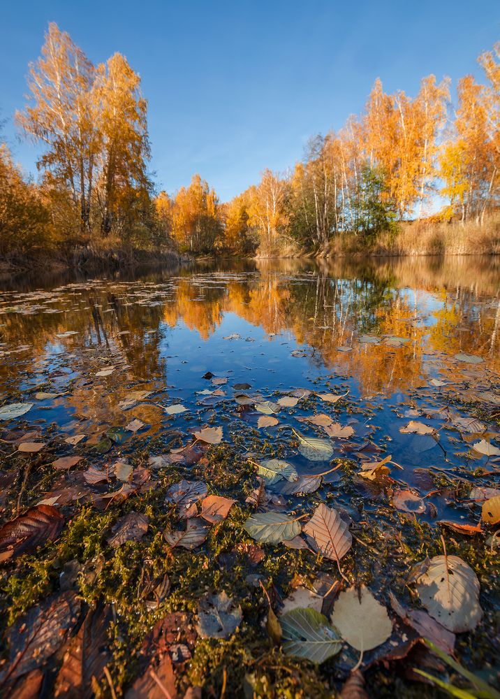 Photograph by Pavel SidorOFF