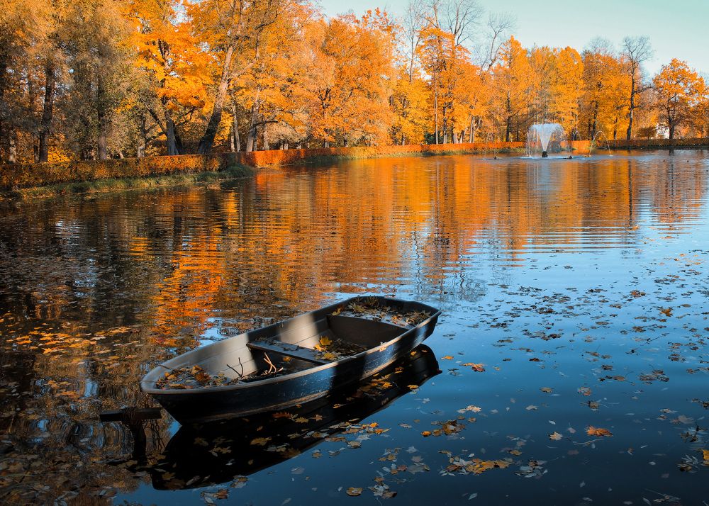 Photograph by Алёна Дьяченко