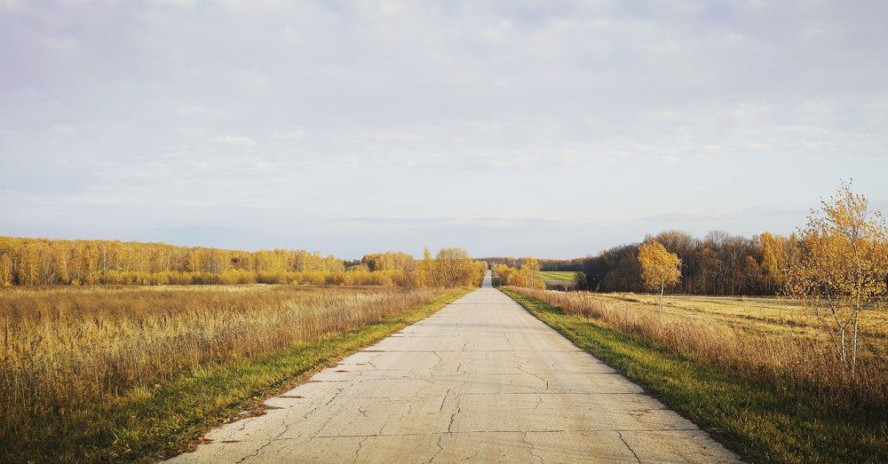 Photograph by Максим Чибисов