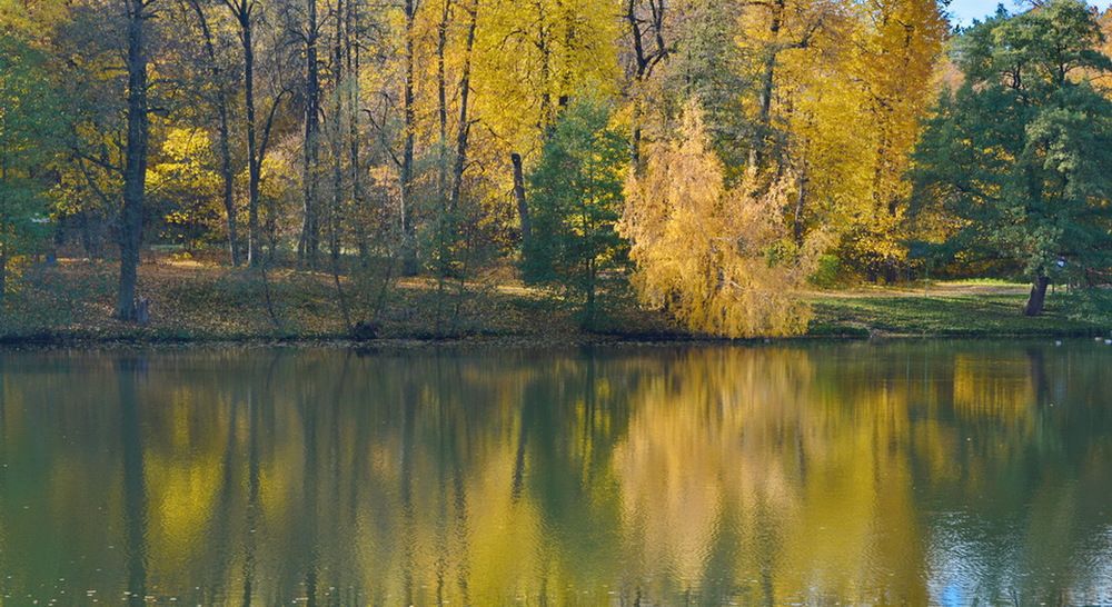 Осенние мотивы.