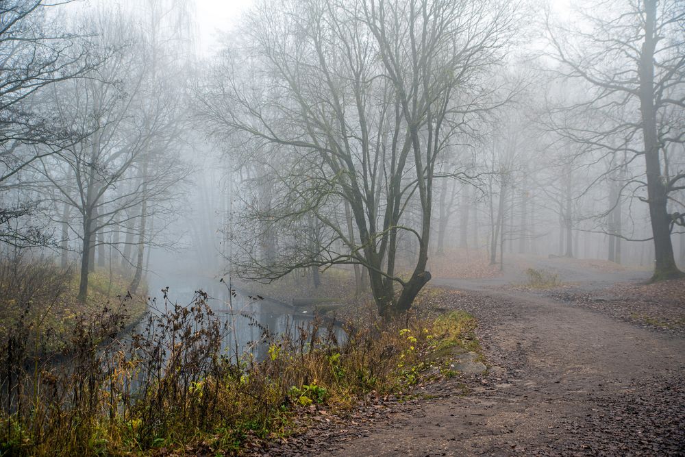 "Там чудеса,там леший бродит..."