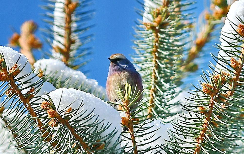 Photograph by Александр Катунцев