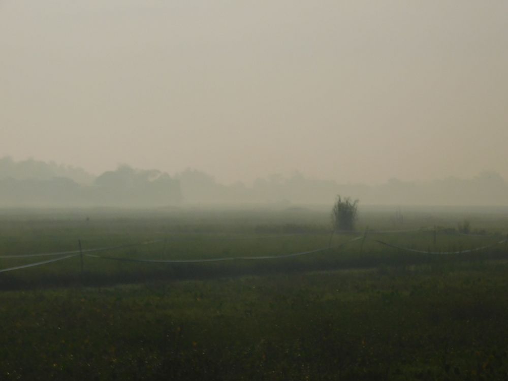 Photograph by reno reno