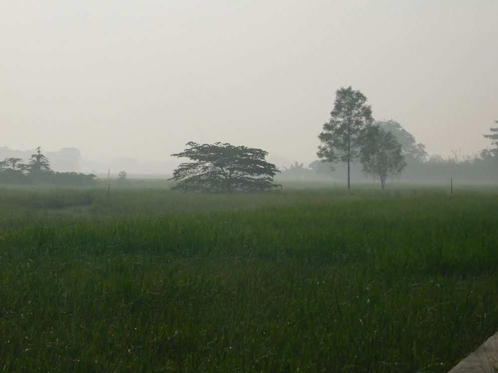 Photograph by reno reno