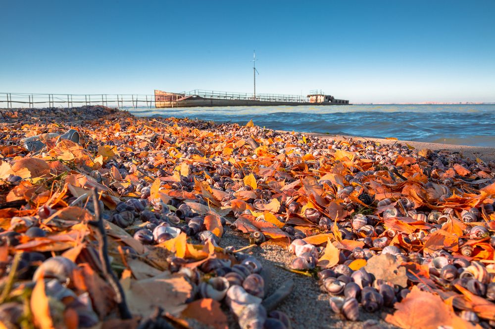 Photograph by Alex Dushutin