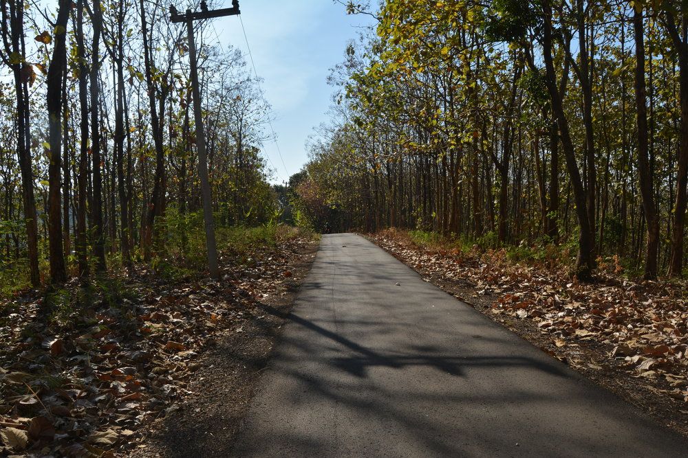 Photograph by reno reno