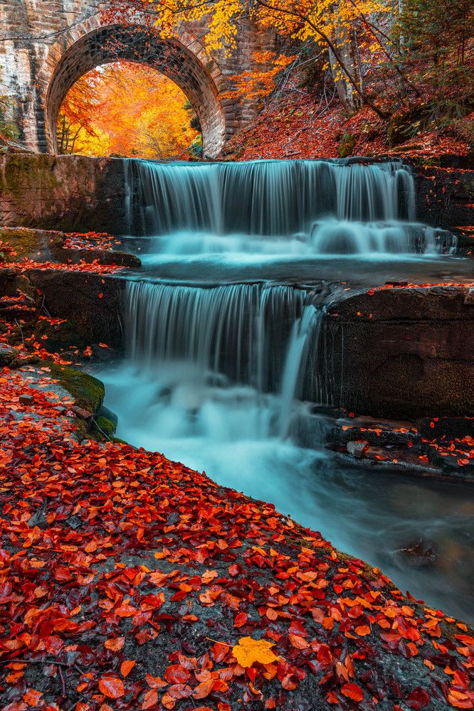 The colors of Autumn