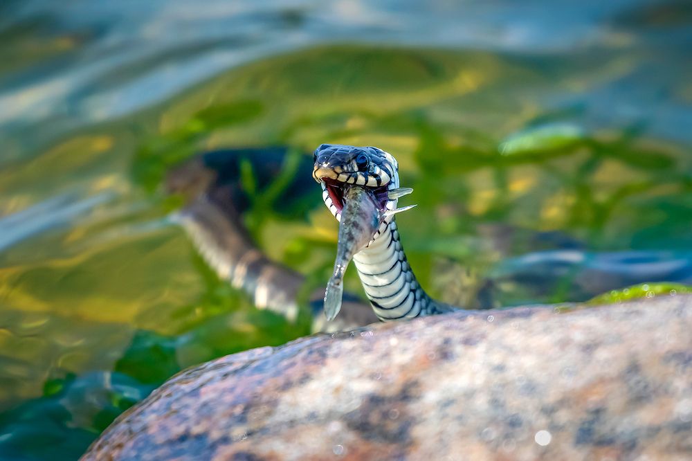Photograph by Александр Абросимов