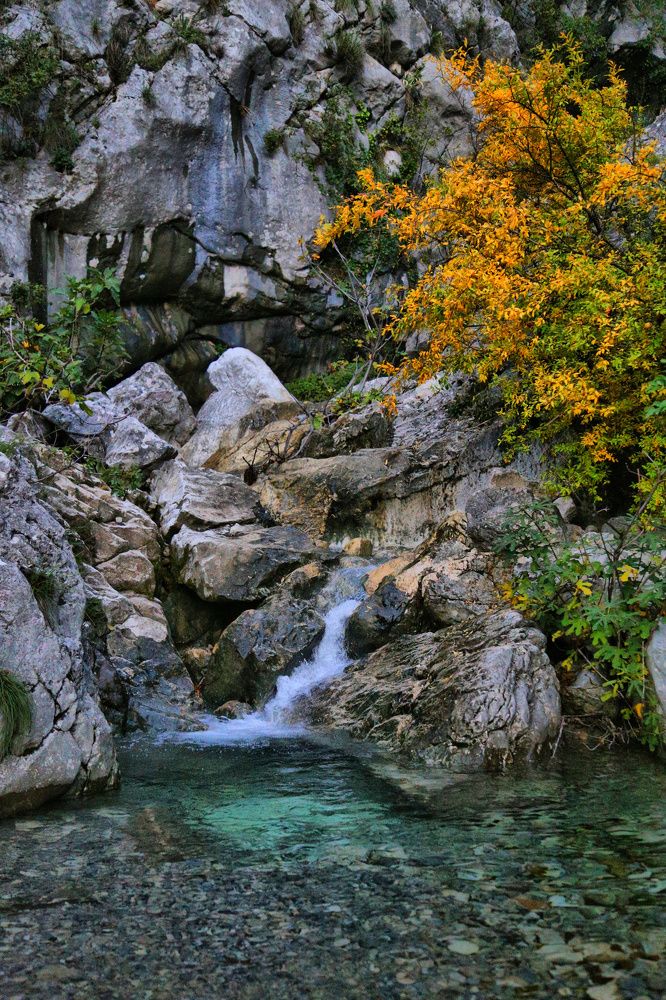 Photograph by Дарья Штерн