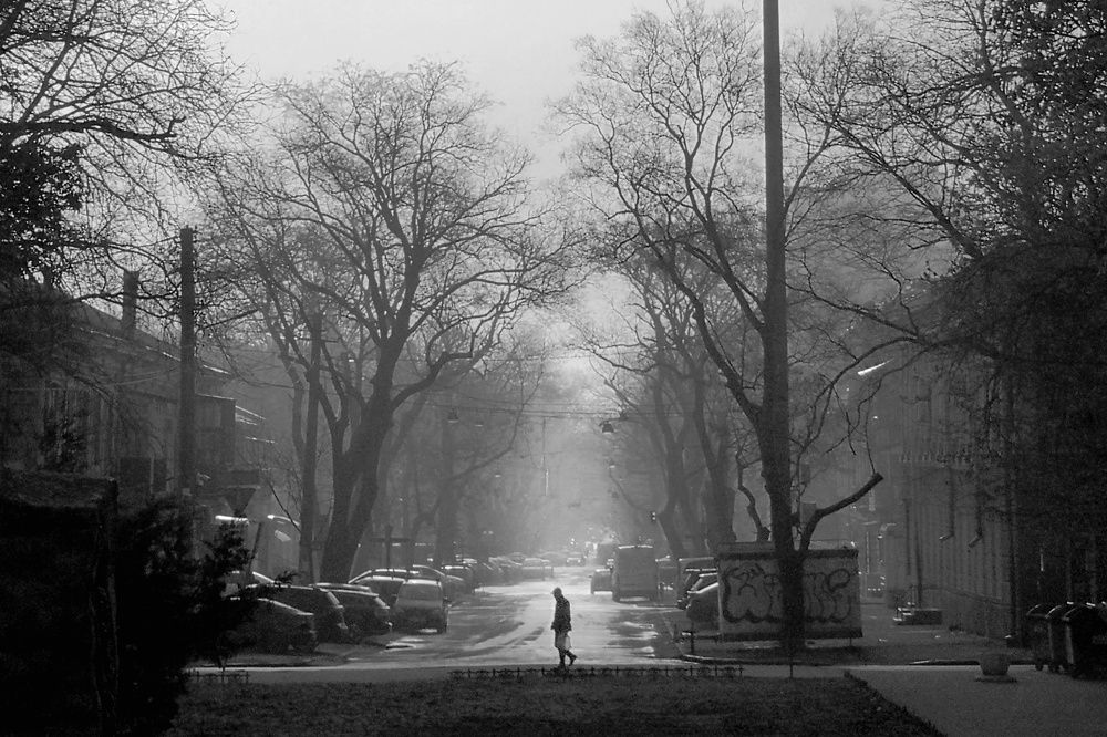 Photograph by Елена Николаева