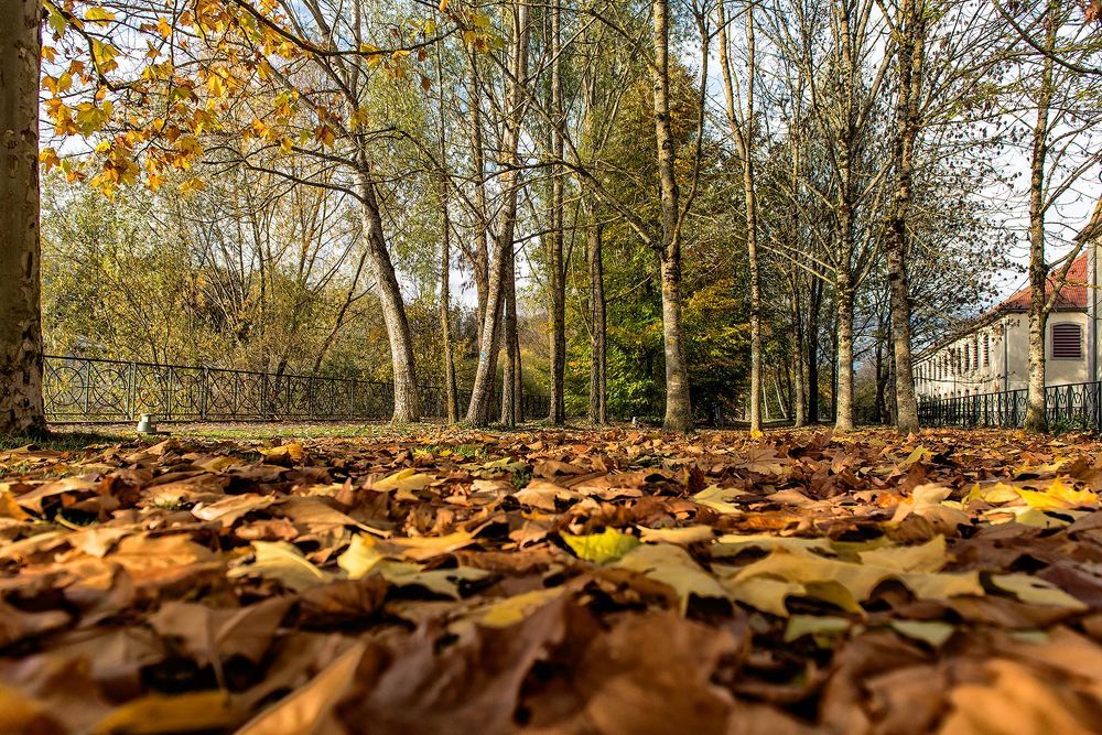 Photograph by Victor