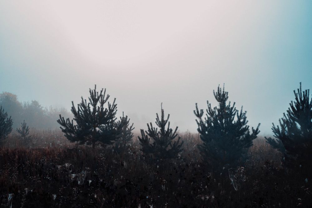 Photograph by Шельменков Артур