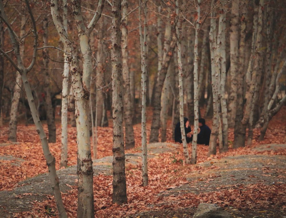 Photograph by Masoumeh Mahmoudi