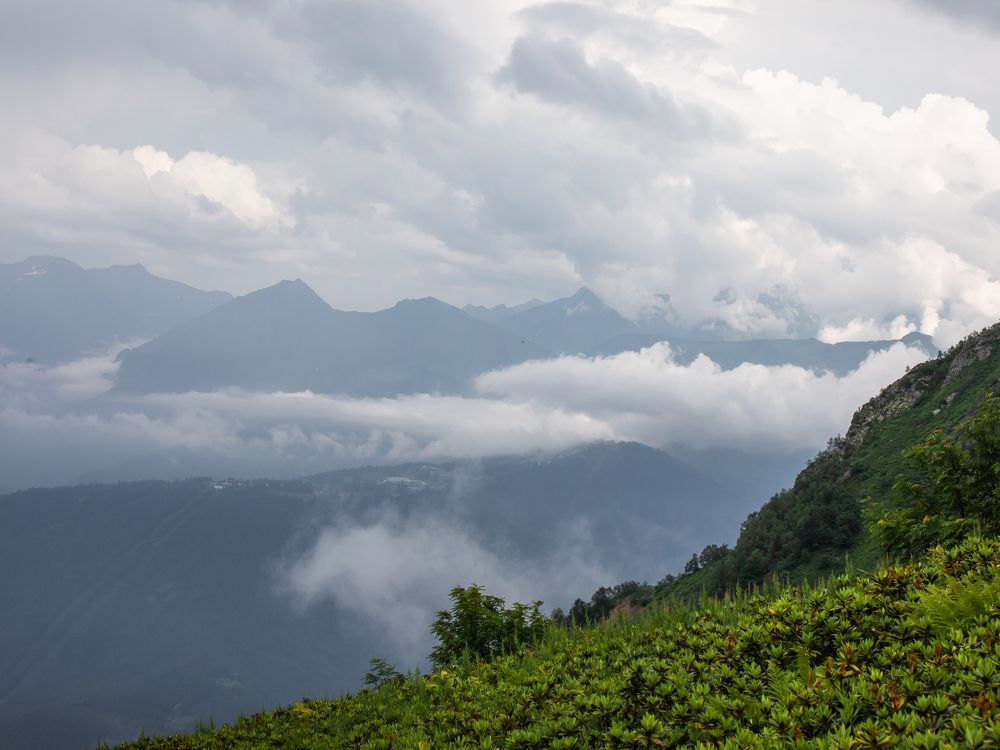 Фотография автора Мария Сурмачева