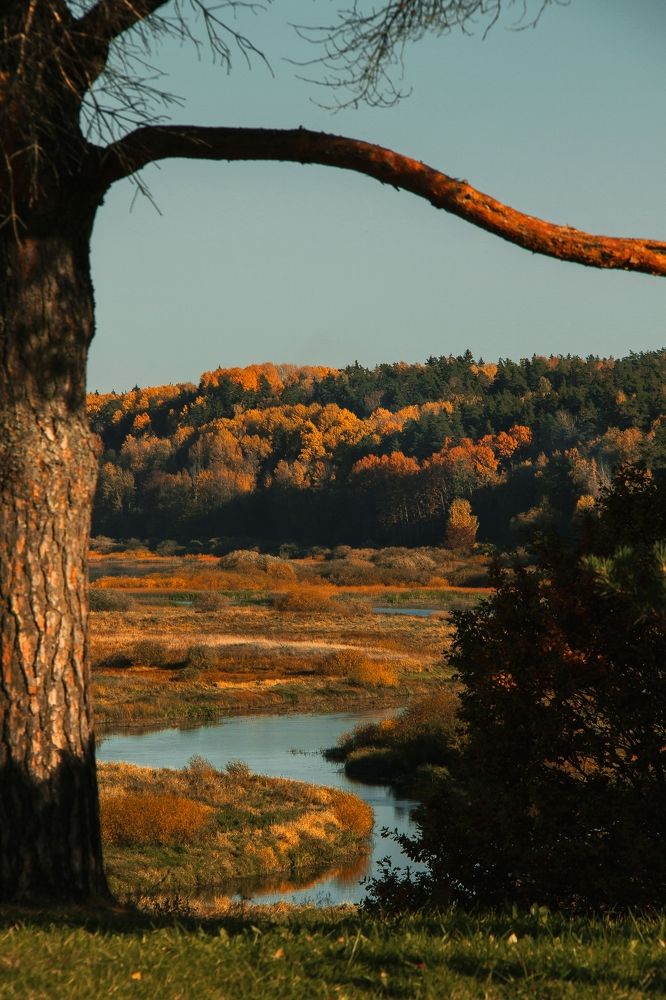 Photograph by Сергей Моргач