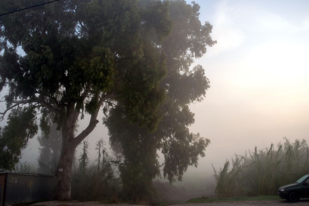 Photograph by GEORGIOS PATTAS