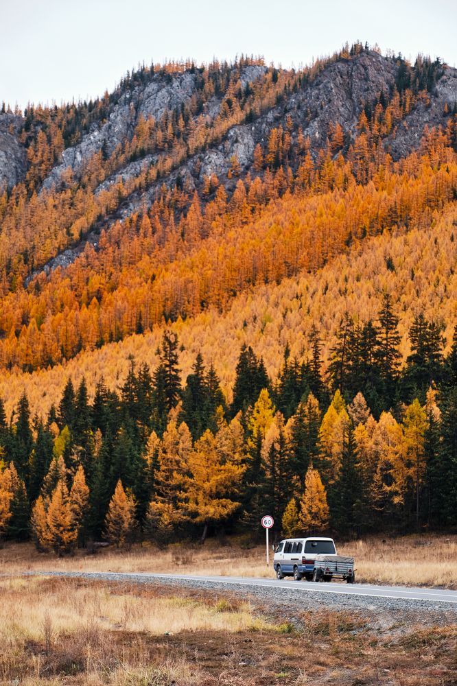 Фотография автора Владимир Эделев