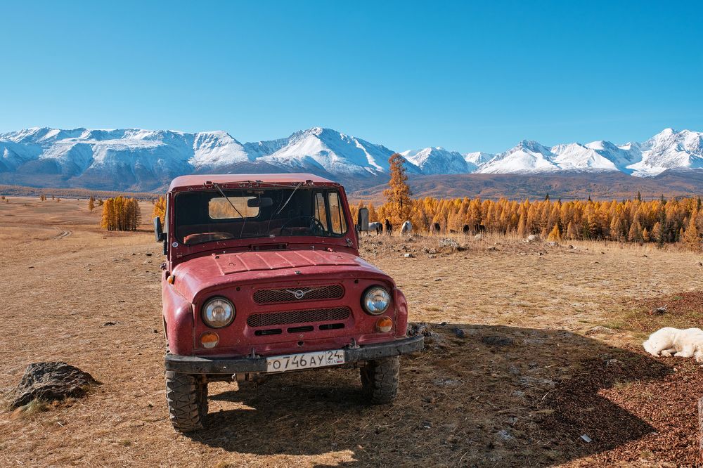 Фотография автора Владимир Эделев