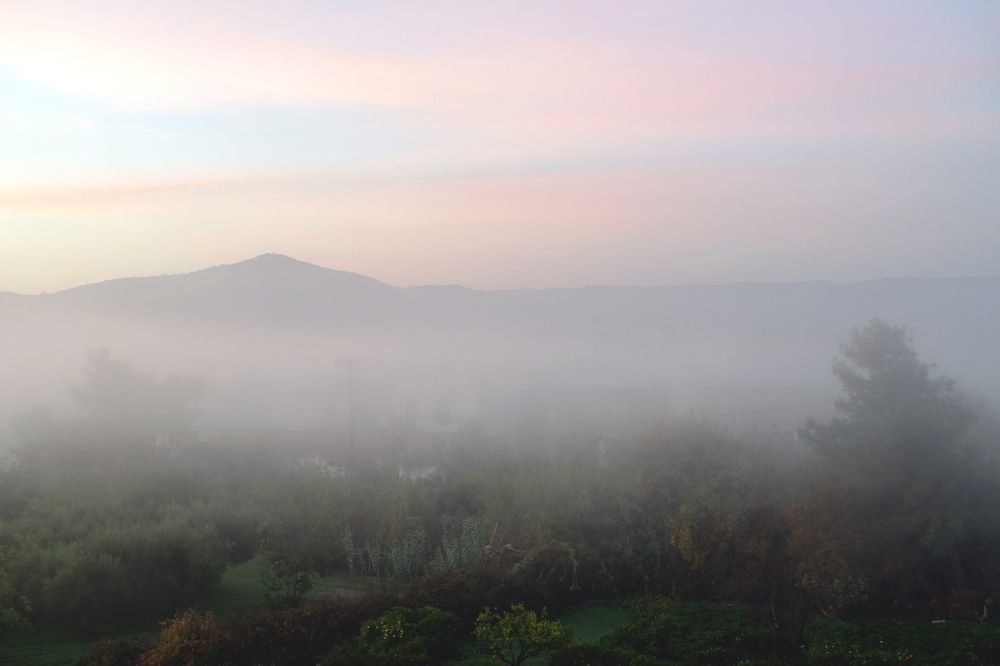 Photograph by GEORGIOS PATTAS