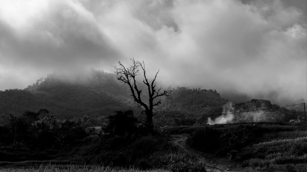 Photograph by Dương Nguyễn