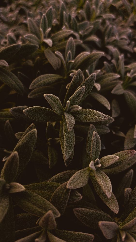 Photograph by Егор