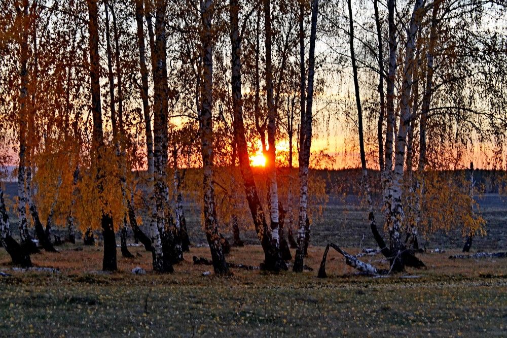 Photograph by Татьяна Перегудова