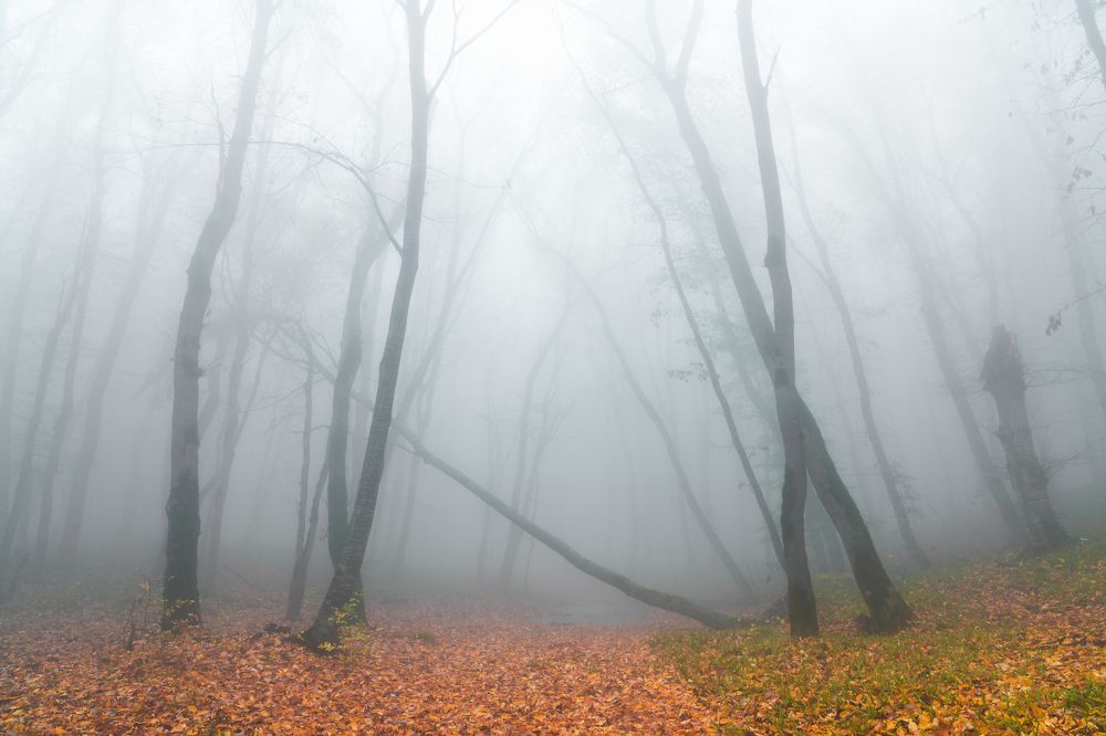 Фотография автора Valery