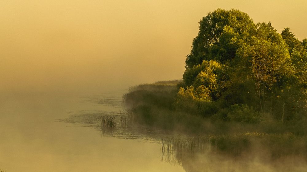 Photograph by Александр Ендин