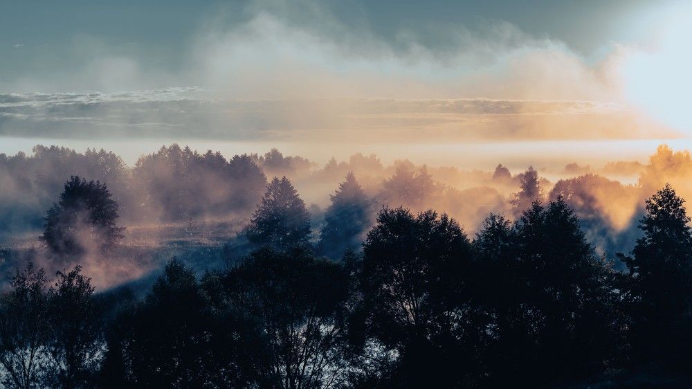 Photograph by Александр Ендин