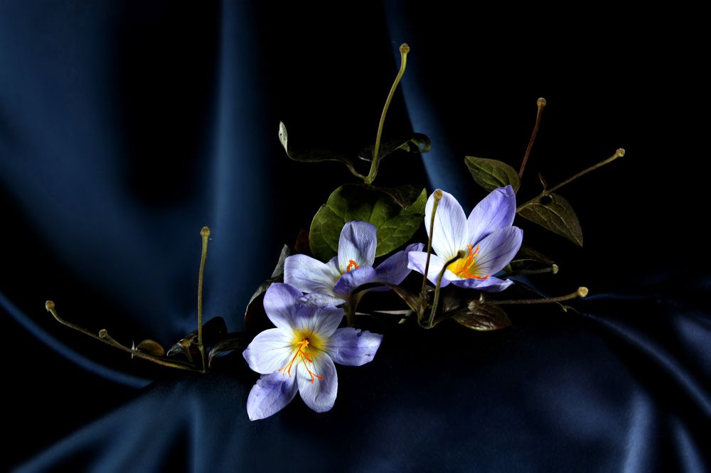 Photograph by Ольга Заболотская