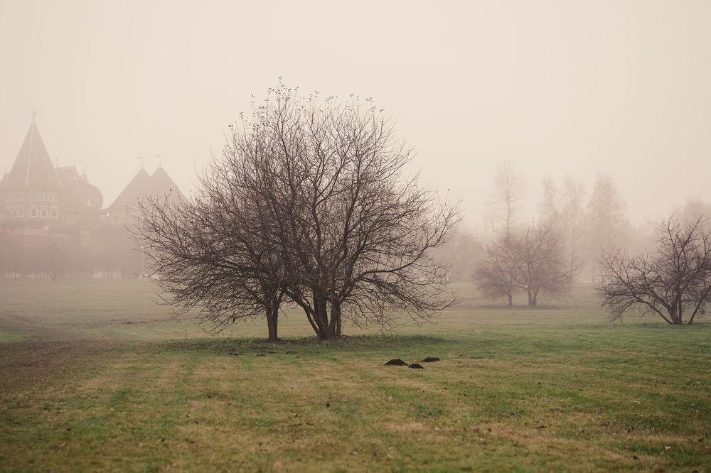 Photograph by Olesia Chepurchenko