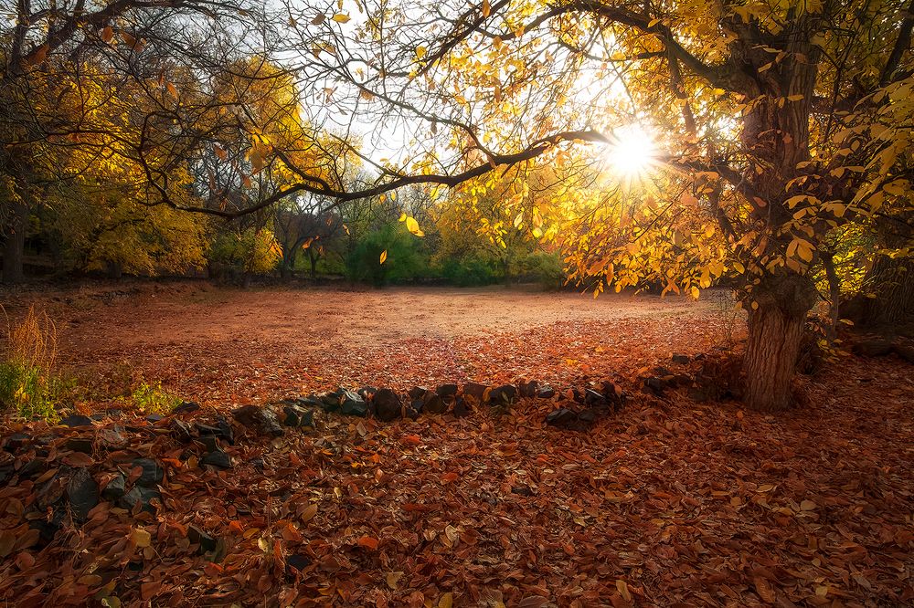 Photograph by sajjad saadat