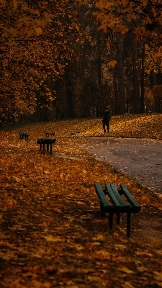 Photograph by Дмитрий Растихин