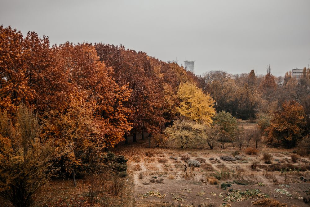 Photograph by Дмитрий Растихин