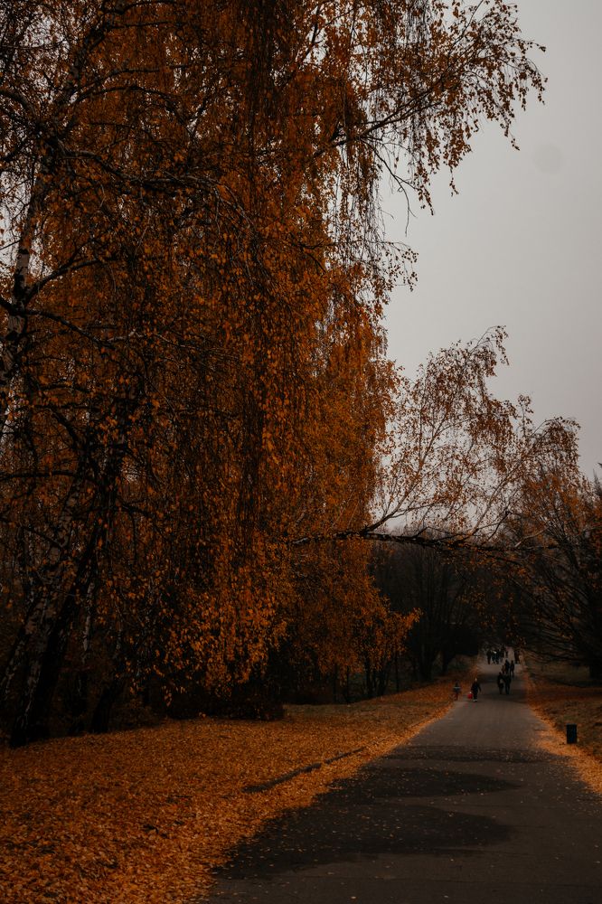 Photograph by Дмитрий Растихин