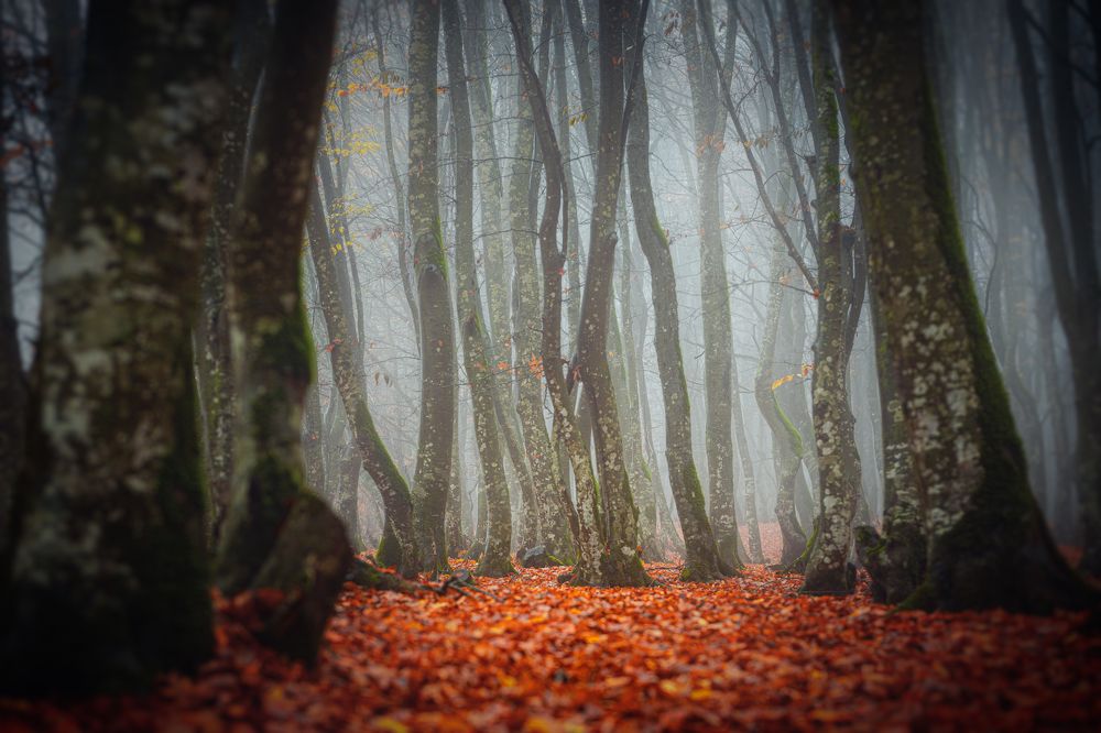 Photograph by Mahdi Sedaghi