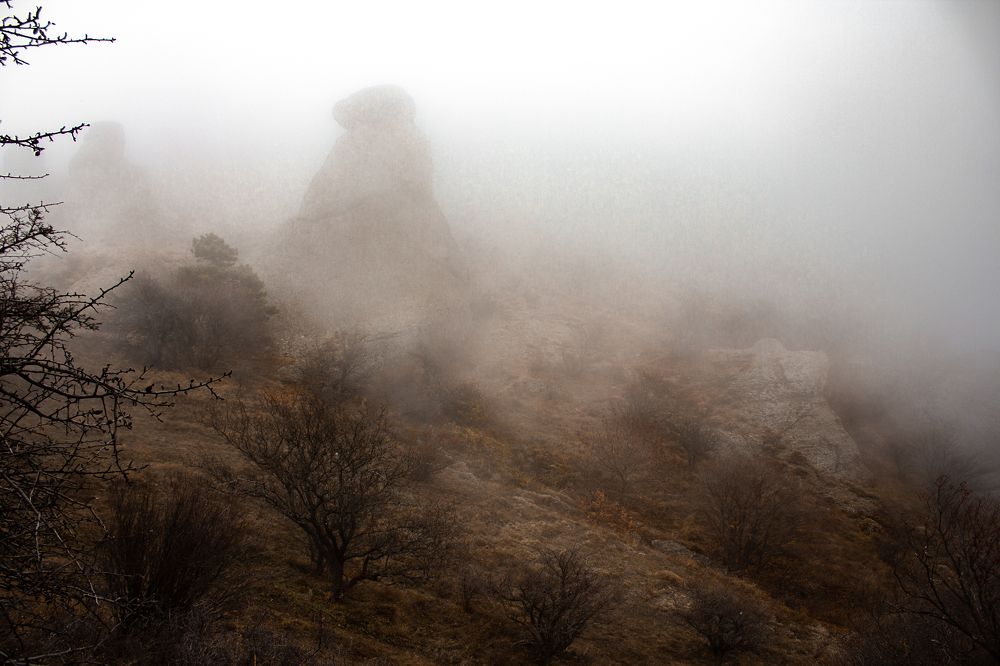 Photograph by сергей паршиков