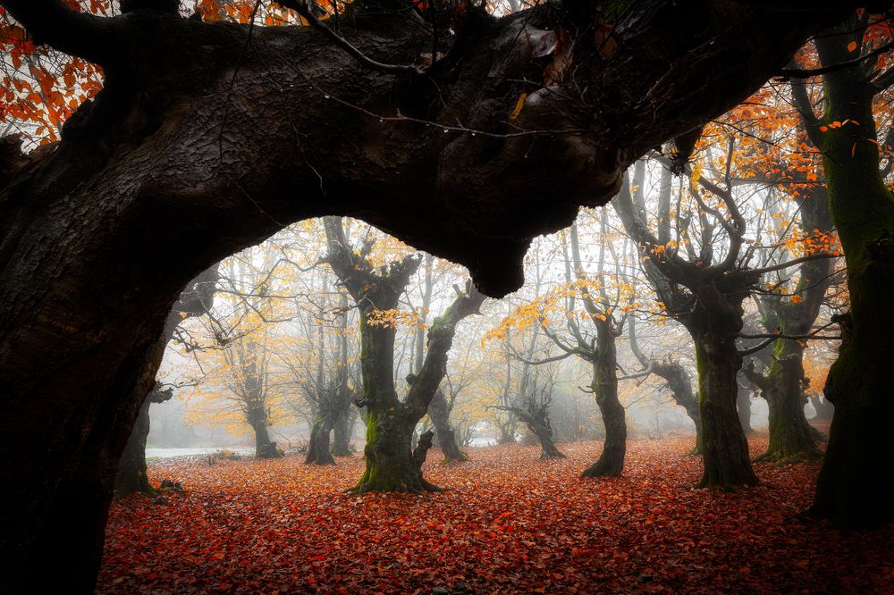 Photograph by Mahdi Sedaghi