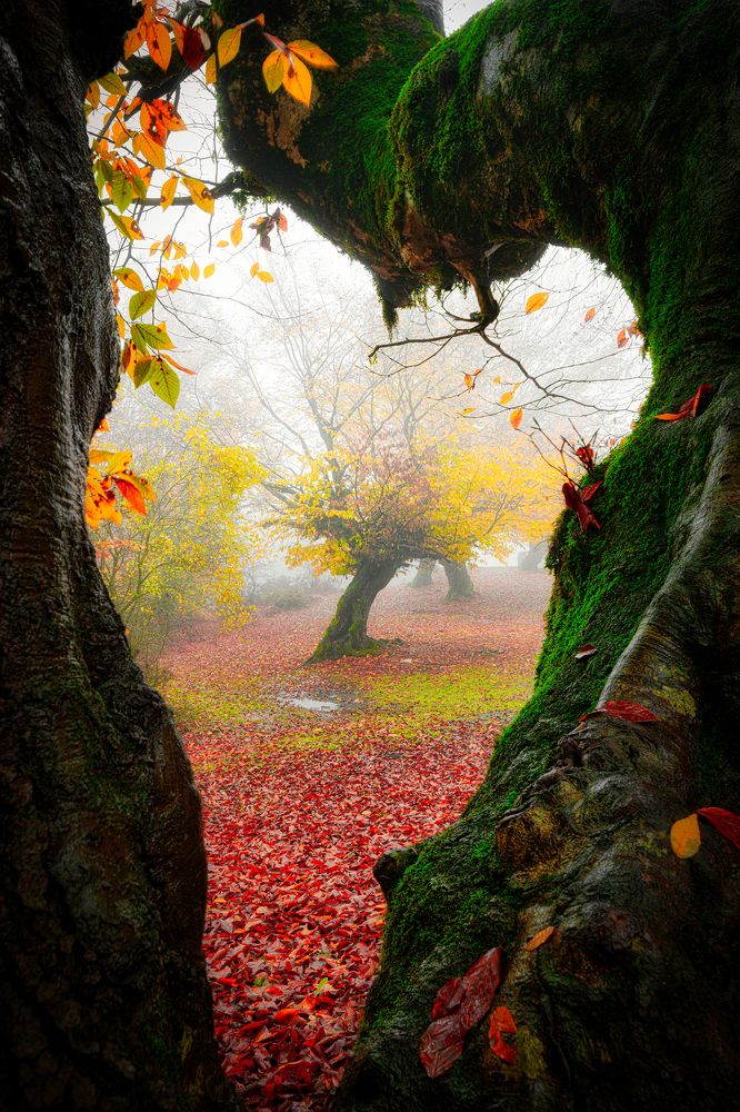 Photograph by Mahdi Sedaghi