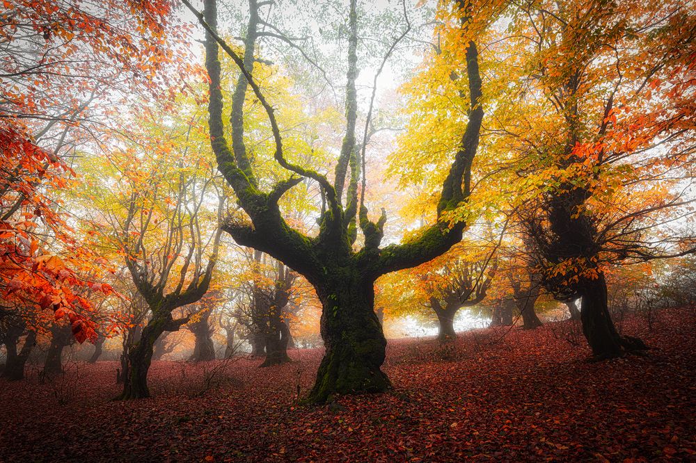 Photograph by Mahdi Sedaghi