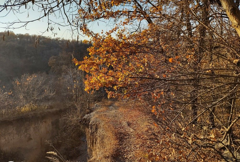 Photograph by Lina Invers