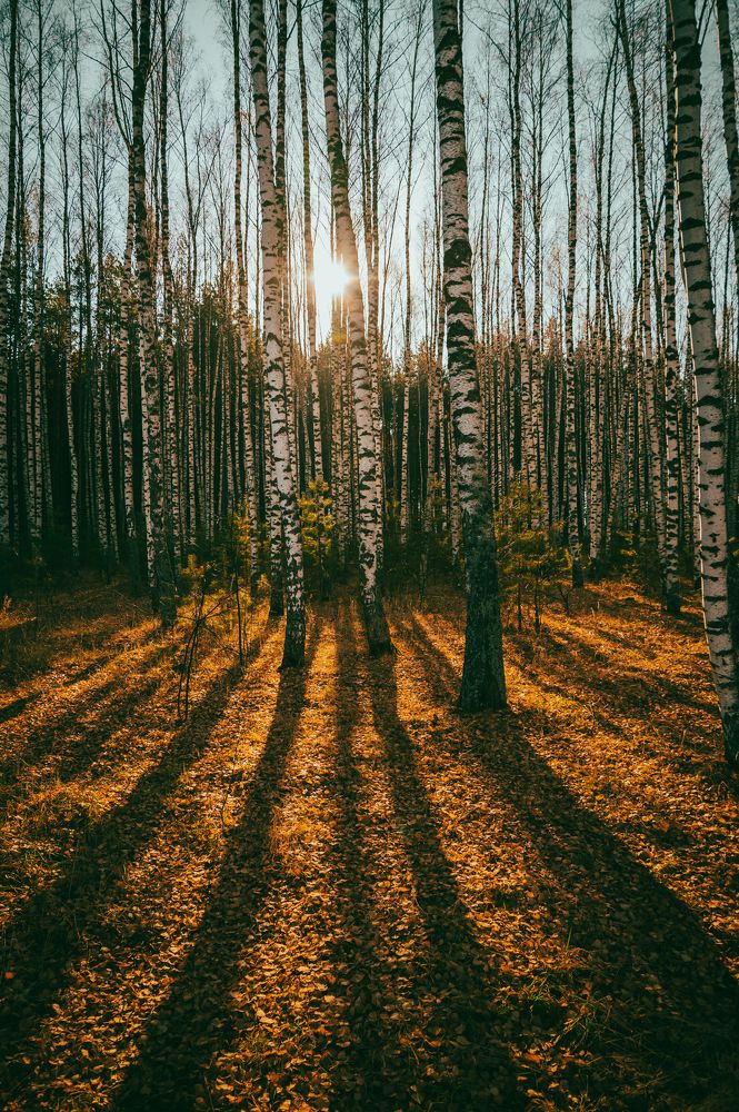 Photograph by Александр Ендин