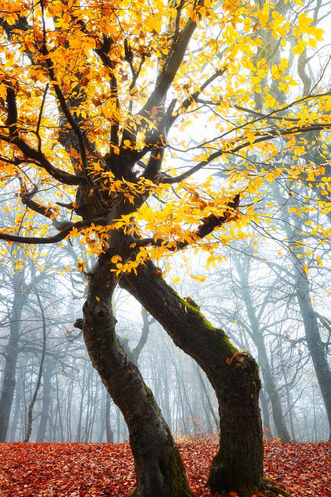 Photograph by Mahdi Sedaghi