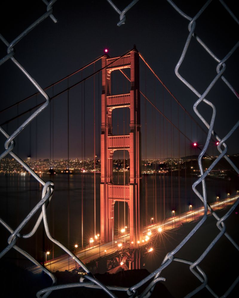 Фотография автора Robert Welsted